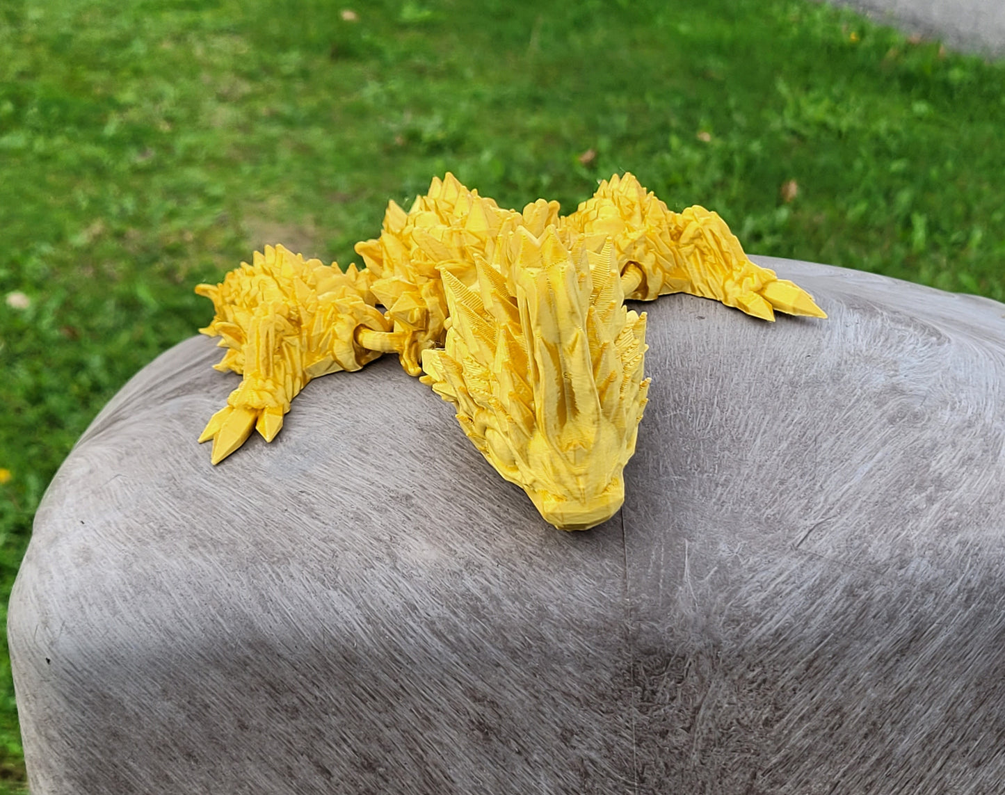 Baby - Jellyfish Dragon