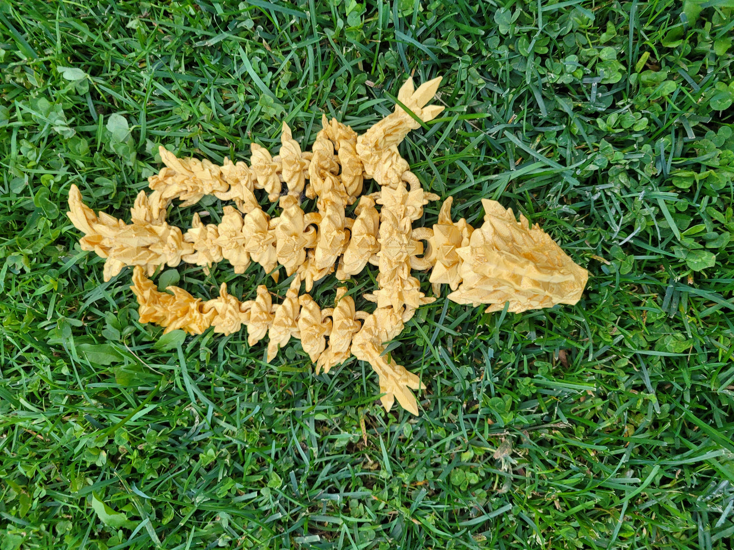Baby - Jellyfish Dragon