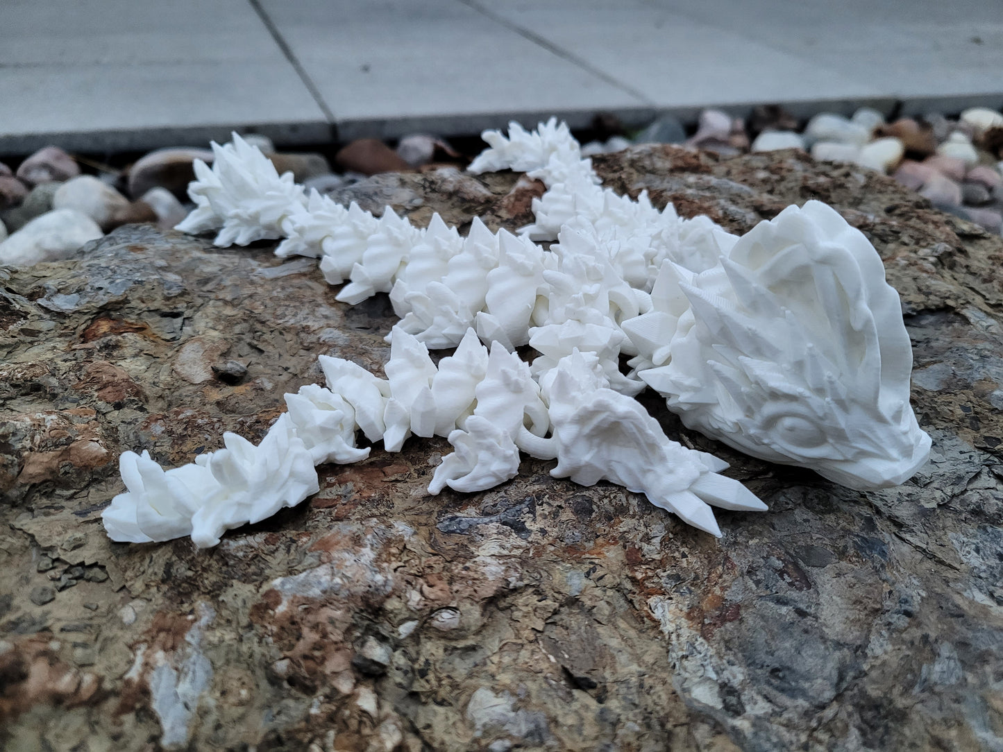 Baby - Jellyfish Dragon