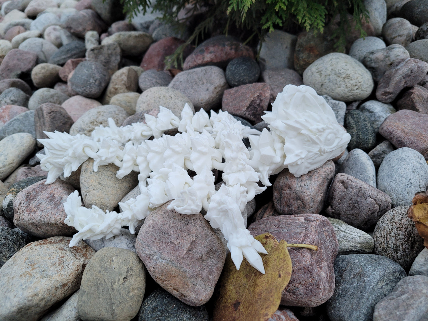 Baby - Jellyfish Dragon