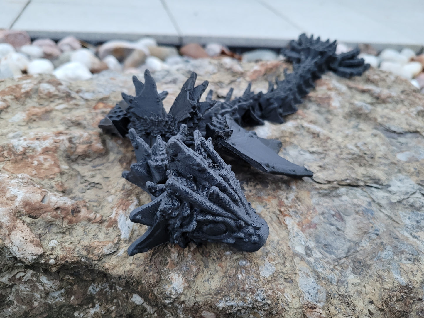 Baby - Waterwing Dragon