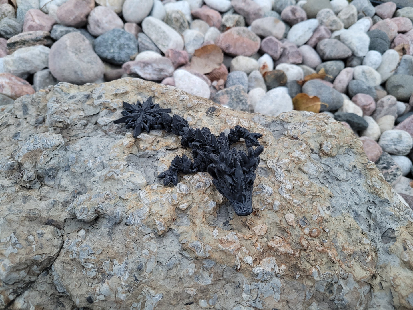 Tadling - Winter Dragon