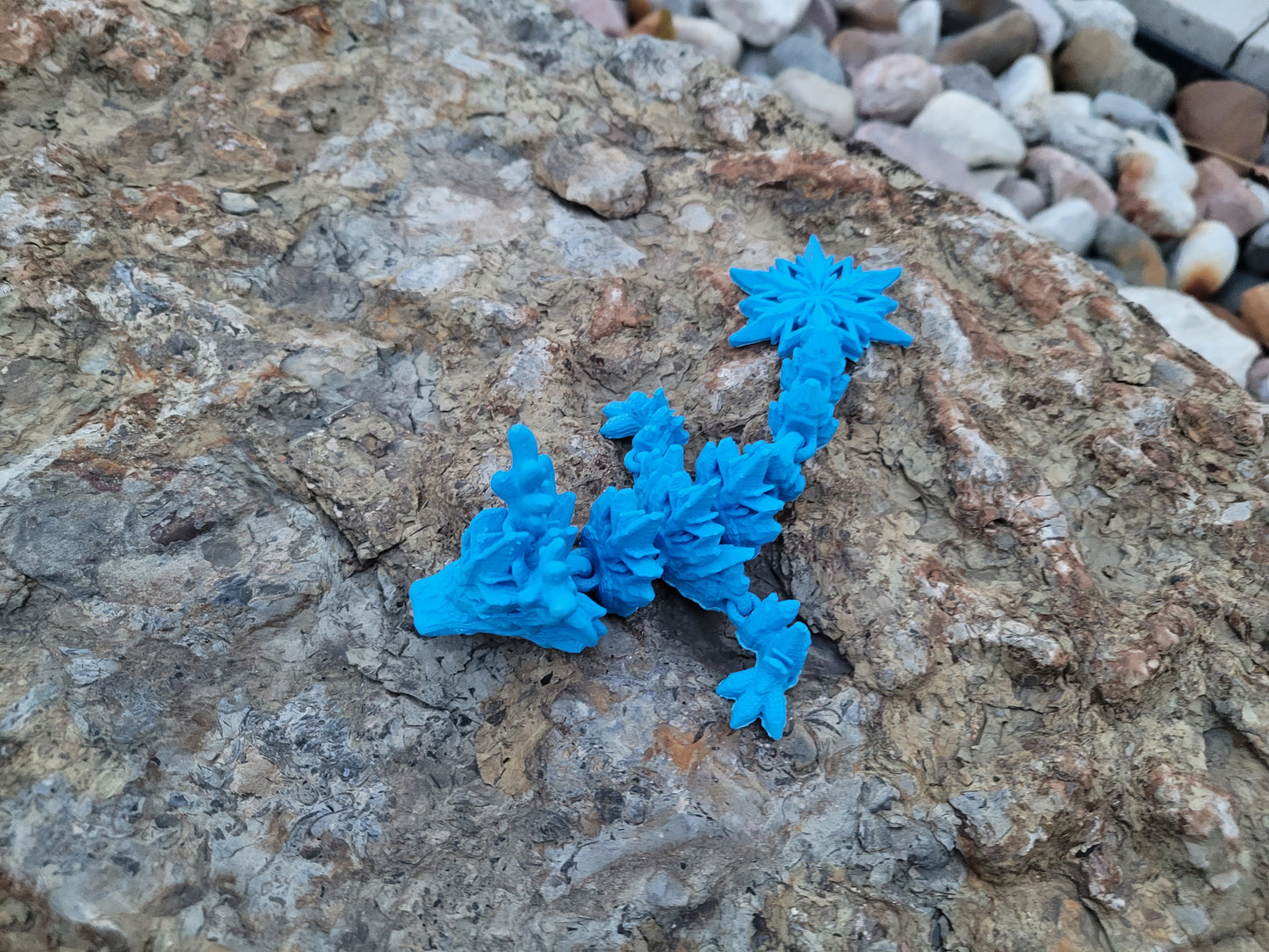 Tadling - Winter Dragon