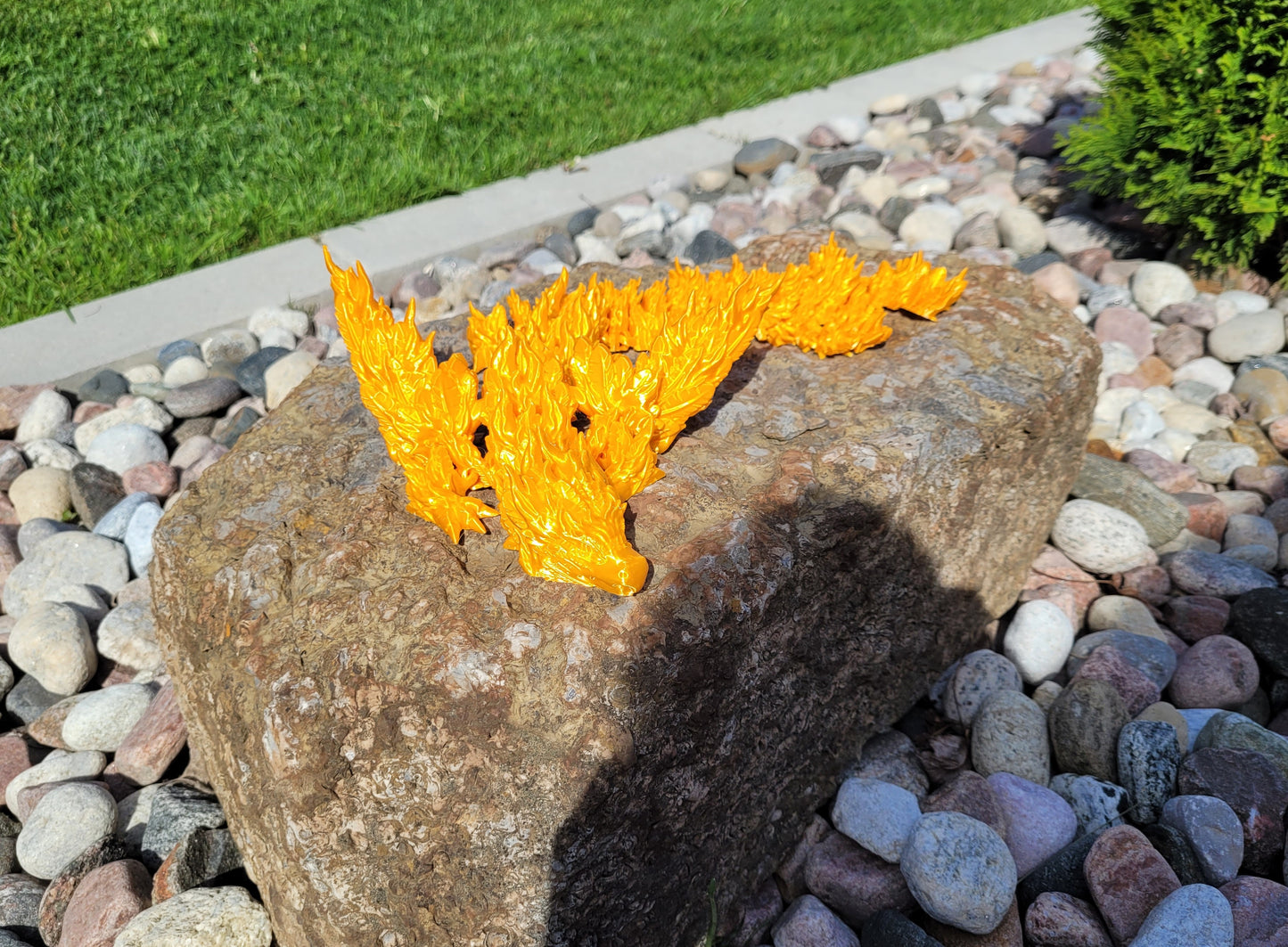 Phoenixwing Dragon