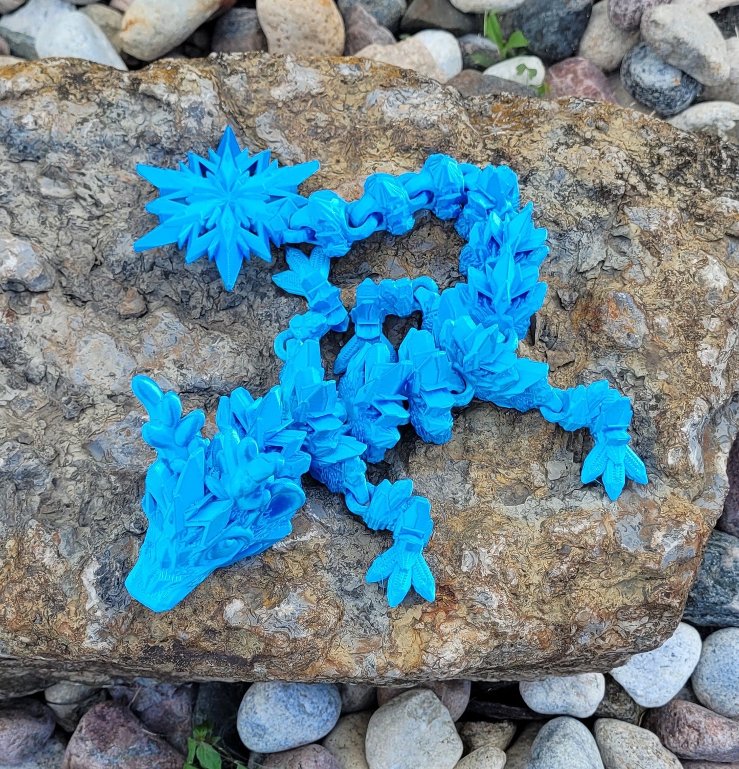 Baby - Winter Dragon