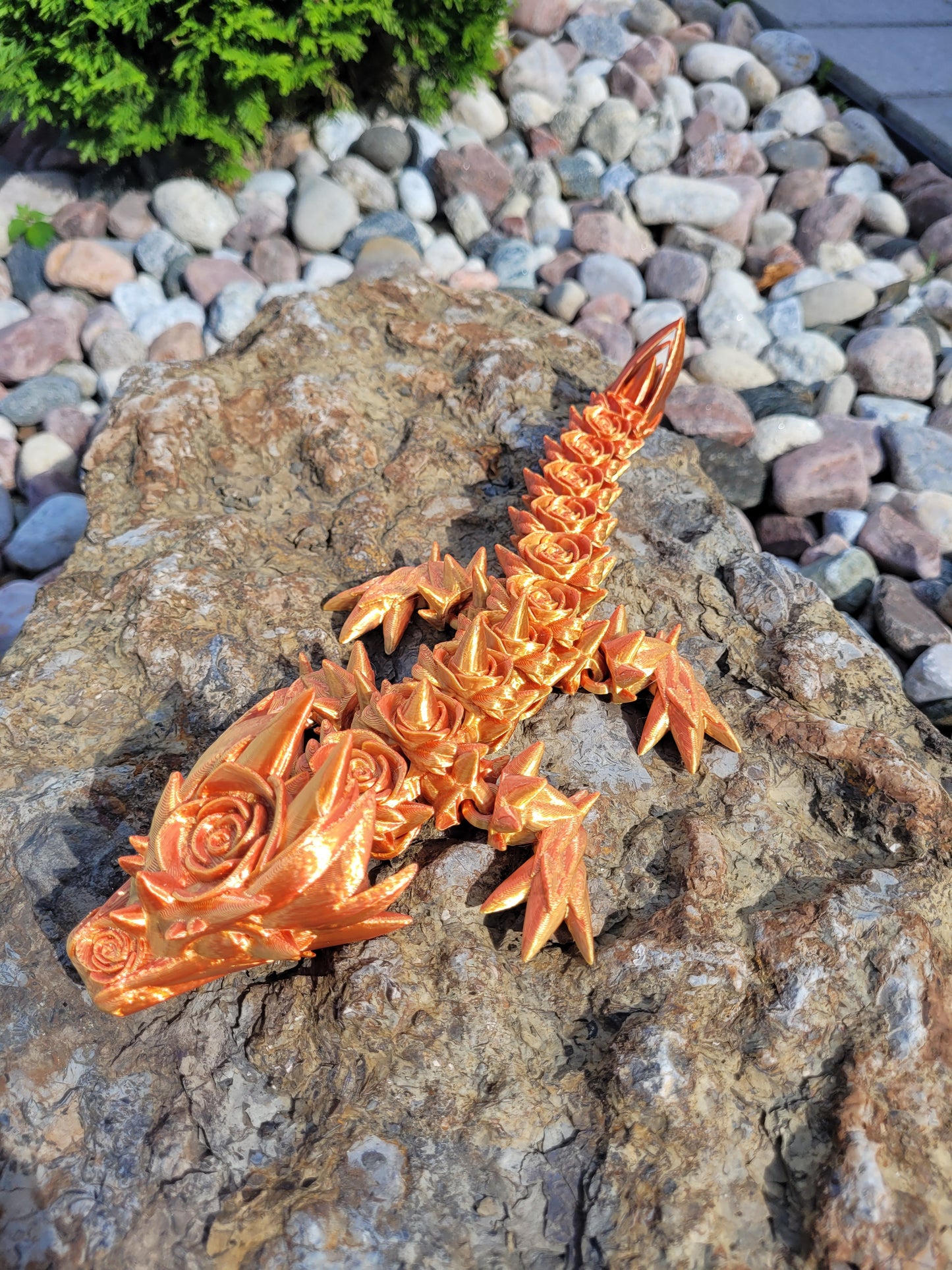 Baby - Rose Dragon
