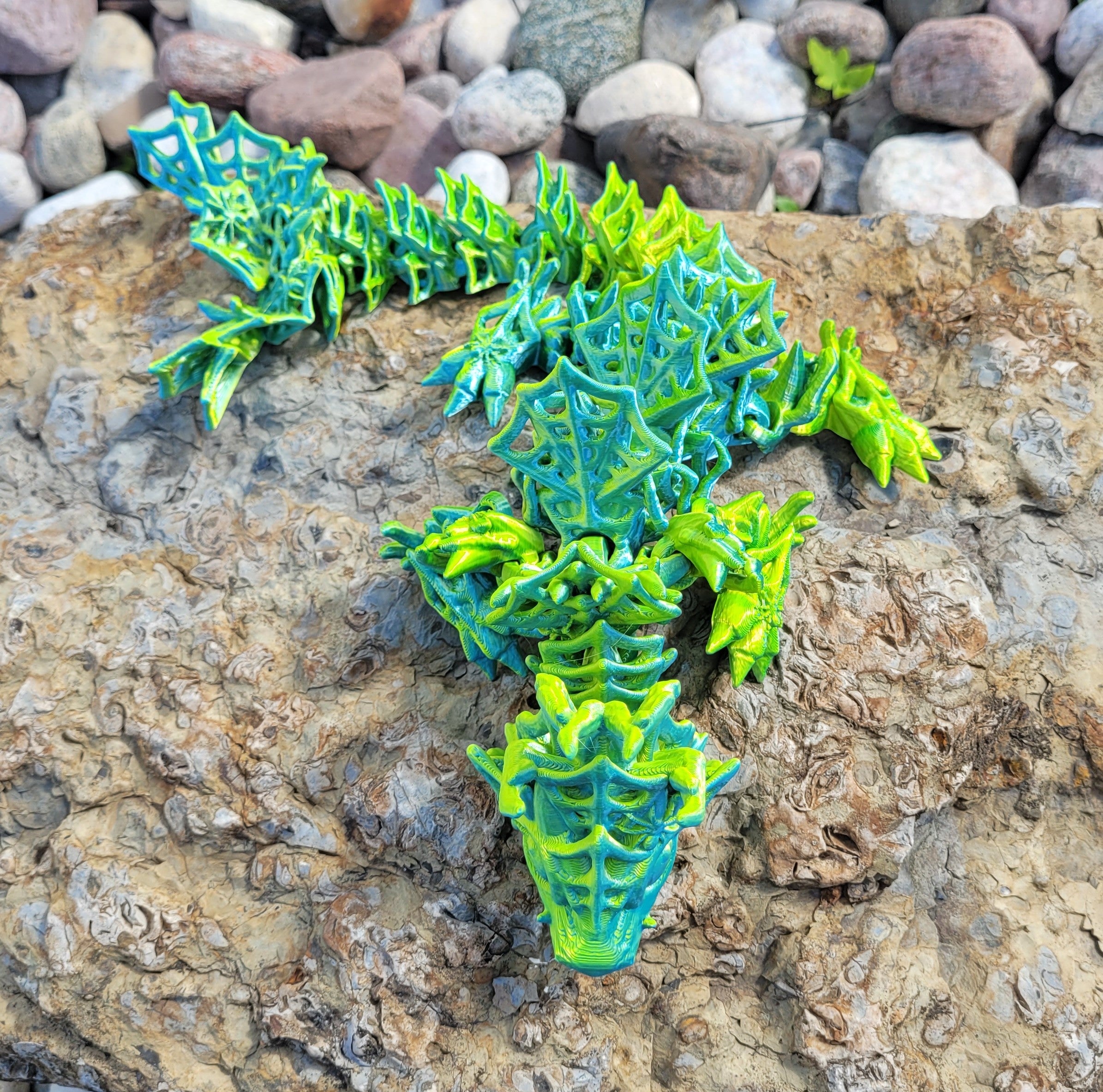 Baby - Wicked Dragon – The Gummy Jelly Co