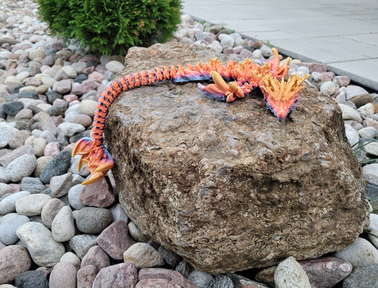 Coral Reef Dragon